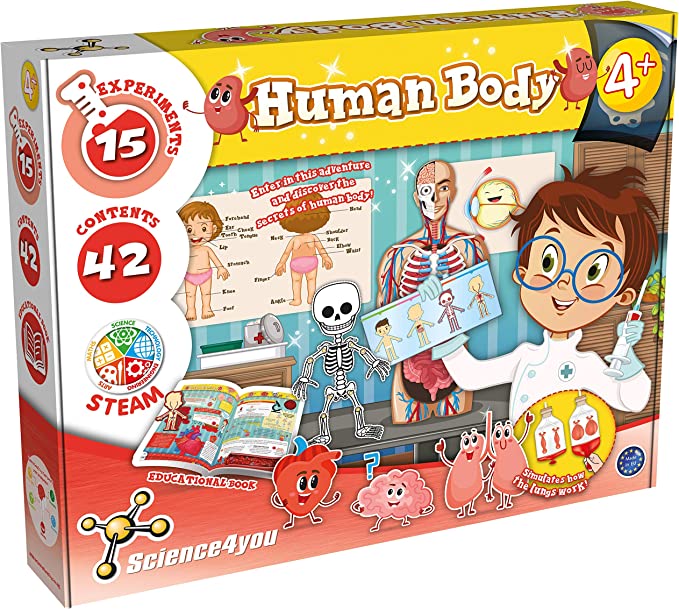 Human body science kit for young girls